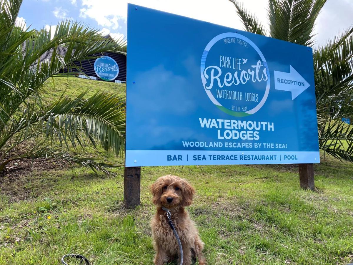 Watermouth Lodges Ilfracombe Esterno foto