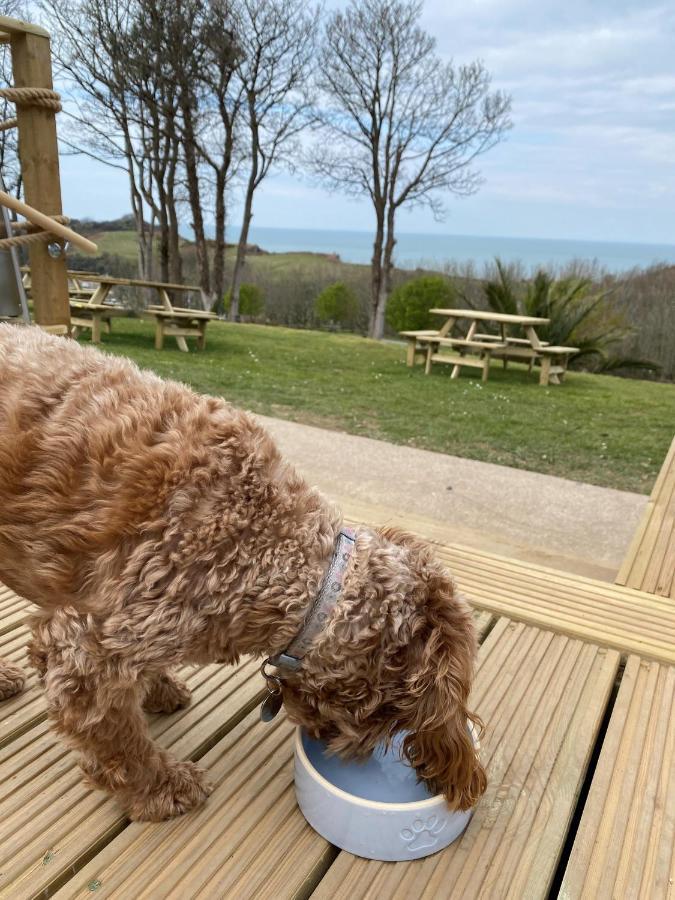 Watermouth Lodges Ilfracombe Esterno foto